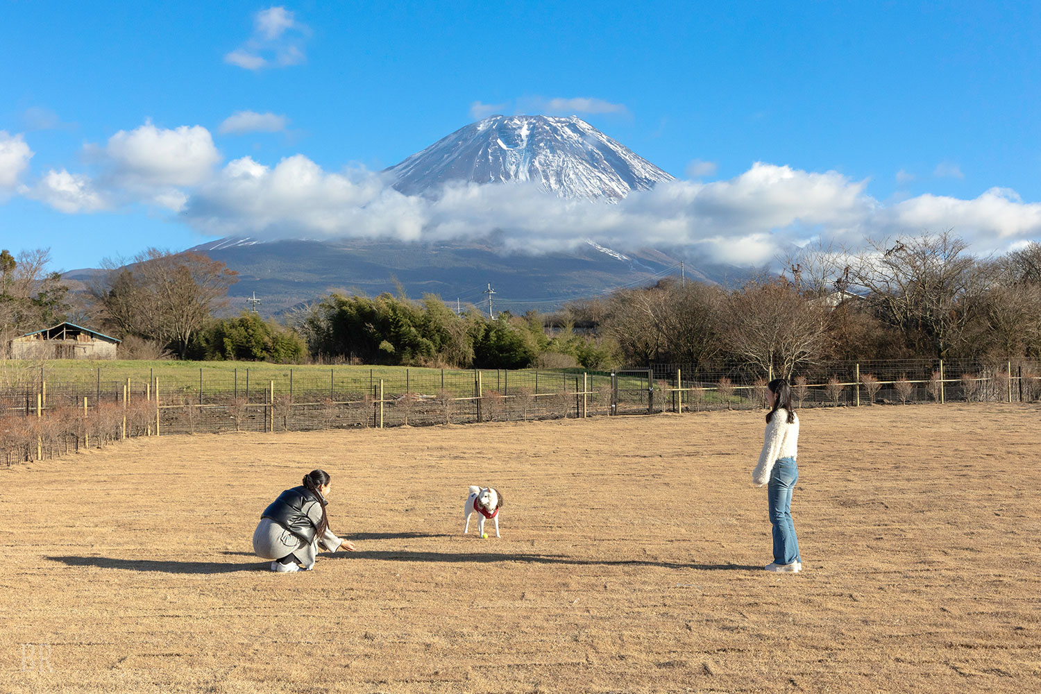與愛犬同享富士山美景