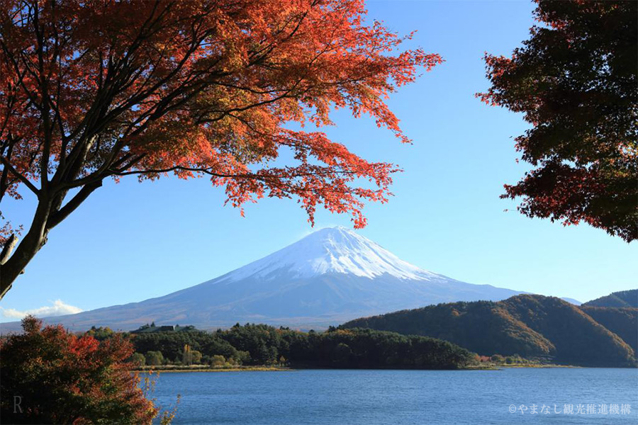 秋季的富士山