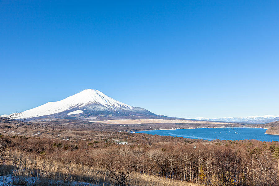順遊展望台