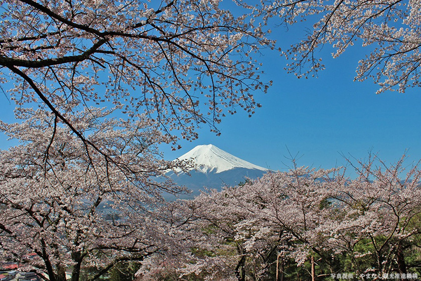 春季的富士山