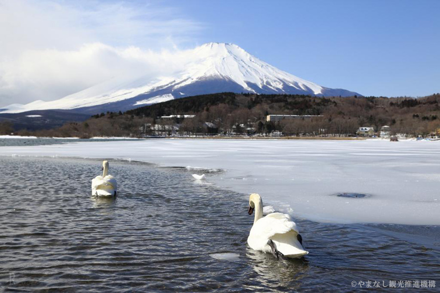 冬季的富士山