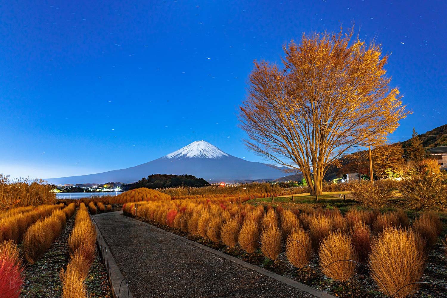 豪華露營B&V富士山河口湖