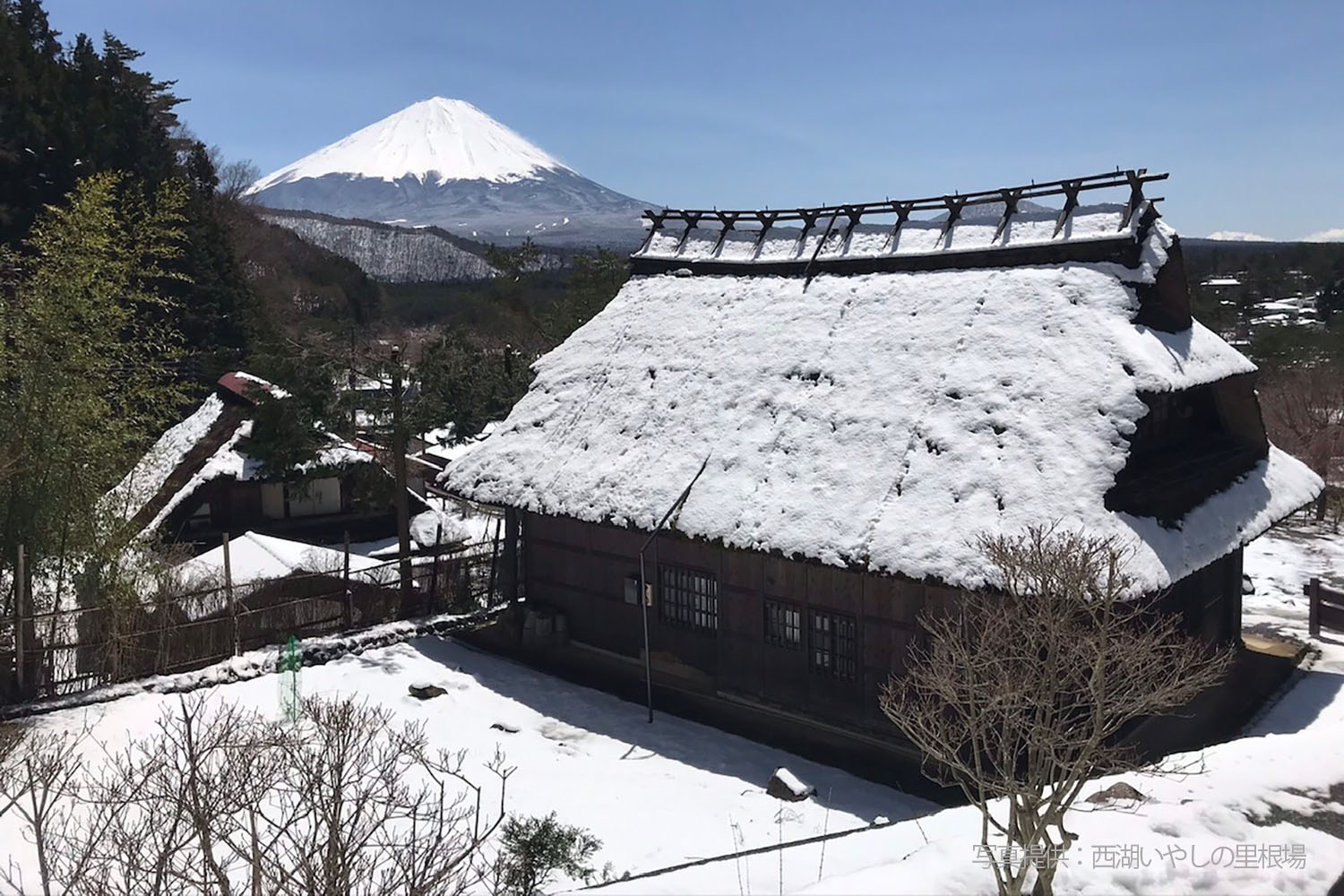冬季的西湖療癒之里根場